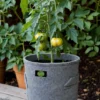30 litros tomates Maceta Geotextil 30L GreenPoint – Versátil, Resistente y Lavable