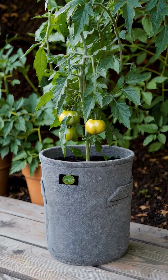 30 litros tomates Maceta Geotextil 30L GreenPoint – Versátil, Resistente y Lavable