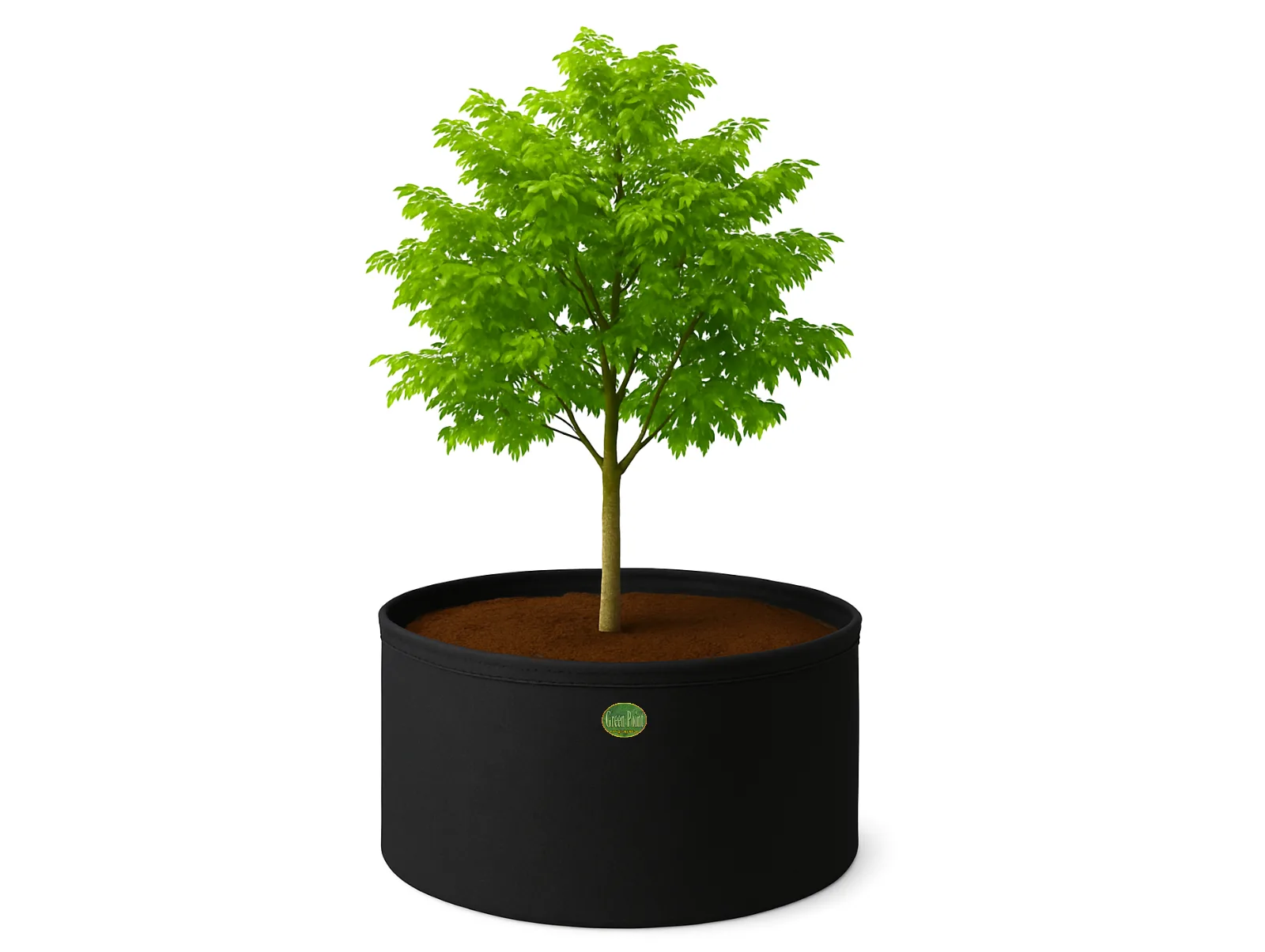 cama de cultivo